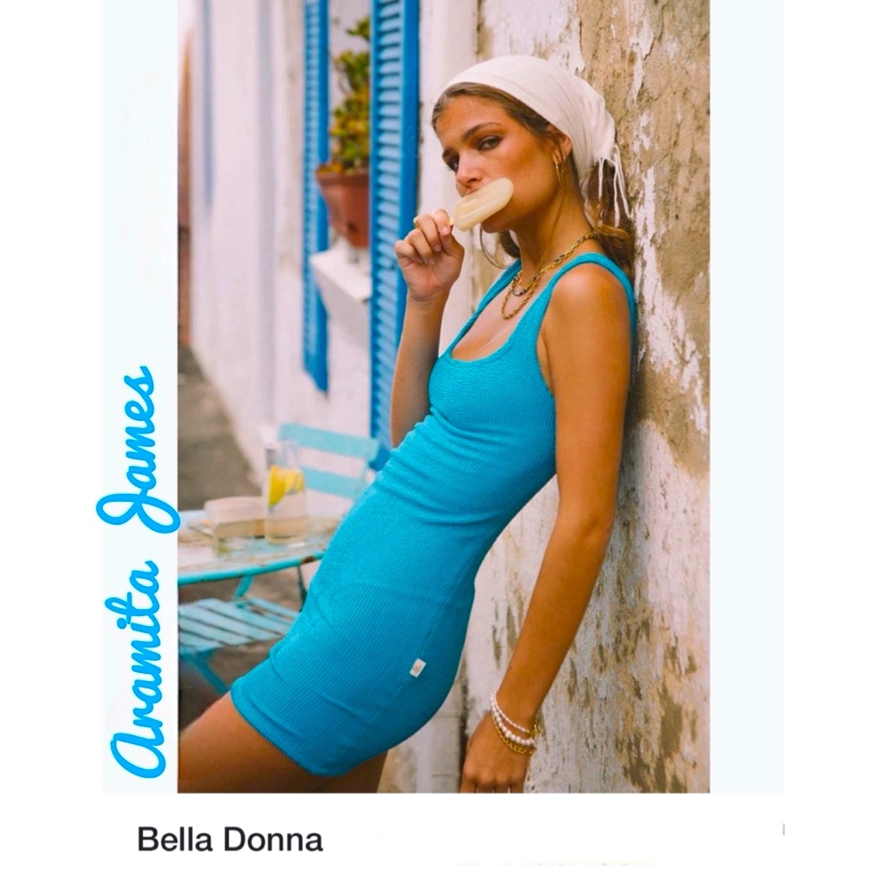 COPY - NWT Aramita James Bella Crinkle Mini Dress, Blue, Large, NEW